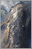 kep007.jpg