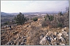 kep012.jpg