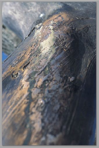 kep007.jpg